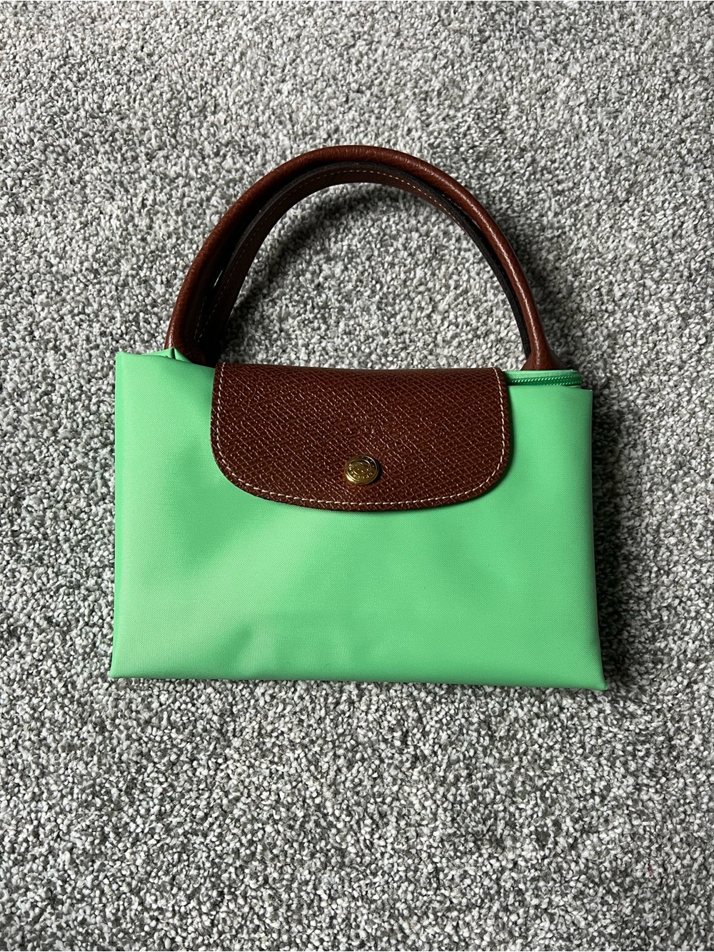 Longchamp Pastel Mint Green Tote